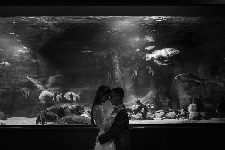 Sesja ślubna w Palmiarni Gliwice – ostatni kadr pełen emocji i światła