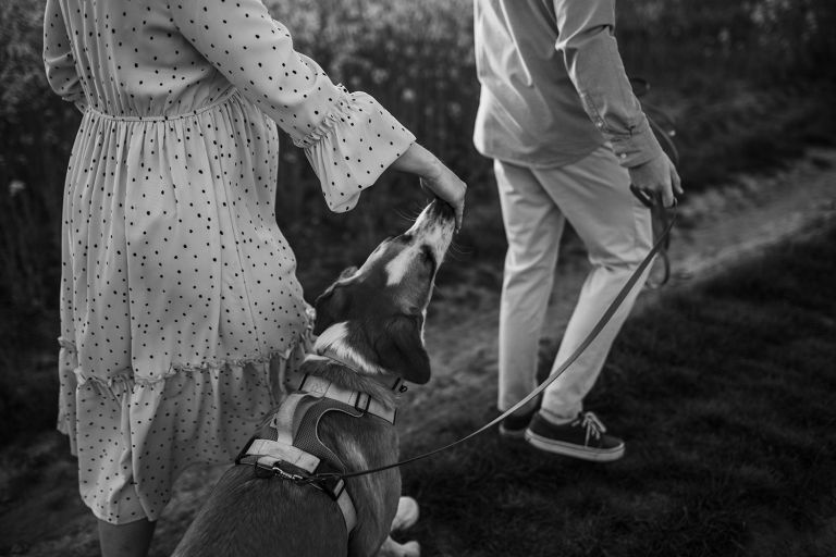 Ciepłe światło zachodu słońca – sesja ciążowa Śląsk