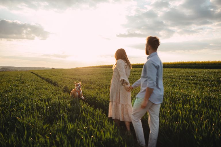 Romantyczne ujęcie pary w rzepaku – sesja ciążowa Katowice