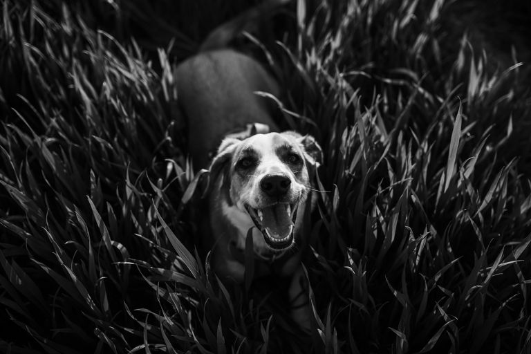 Ujęcie w promieniach słońca – sesja ciążowa Katowice