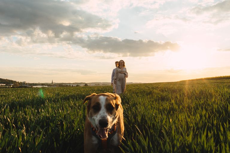 Śmiech i lekkość – sesja ciążowa w rzepaku