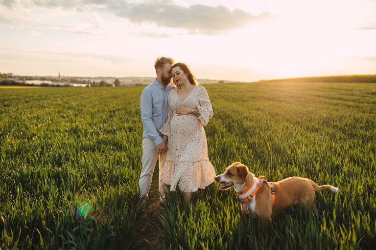 Czuła chwila między przyszłymi rodzicami – sesja ciążowa Śląsk